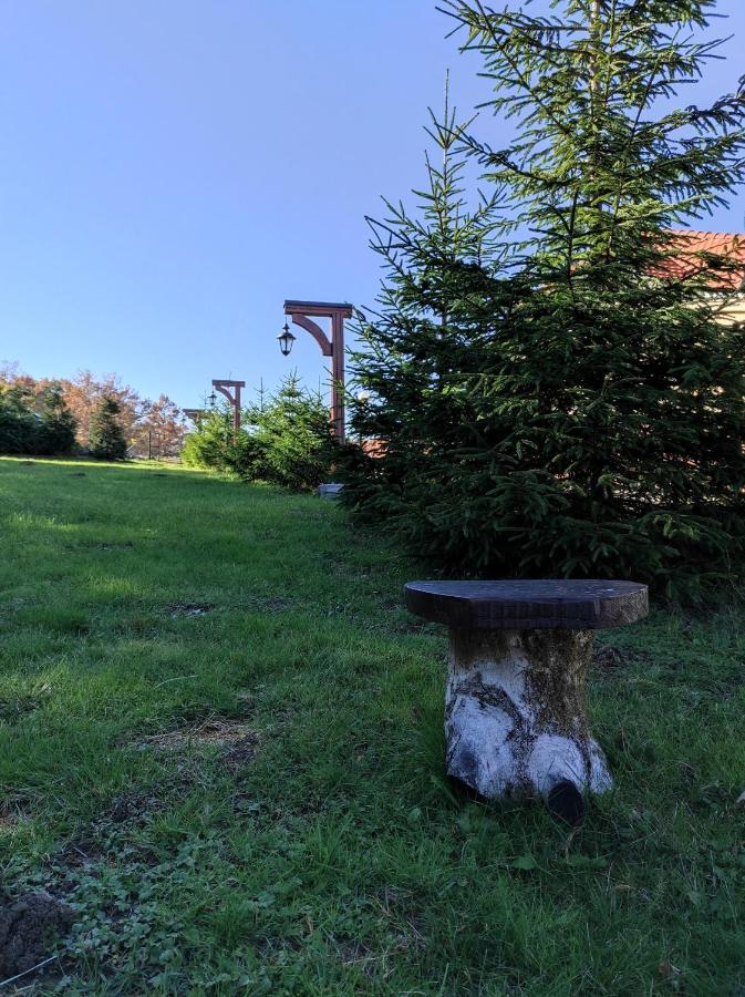 Vila Hajdi Planina Tara Bajina Basta Exterior photo